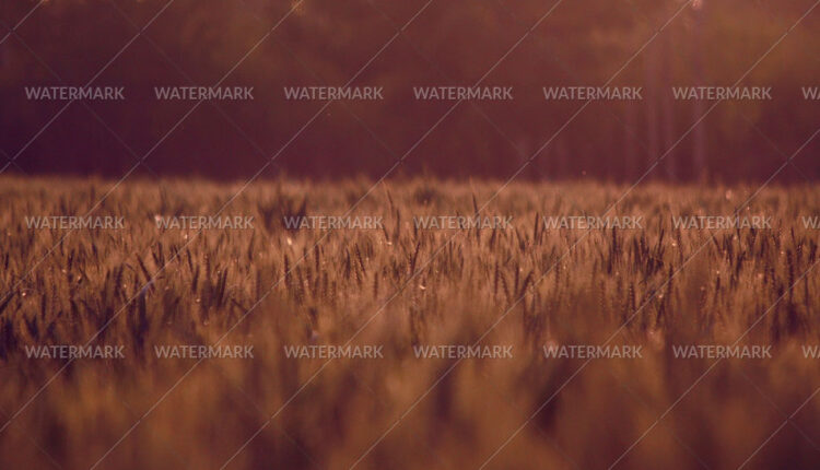 5743599496_a827ec520e_o