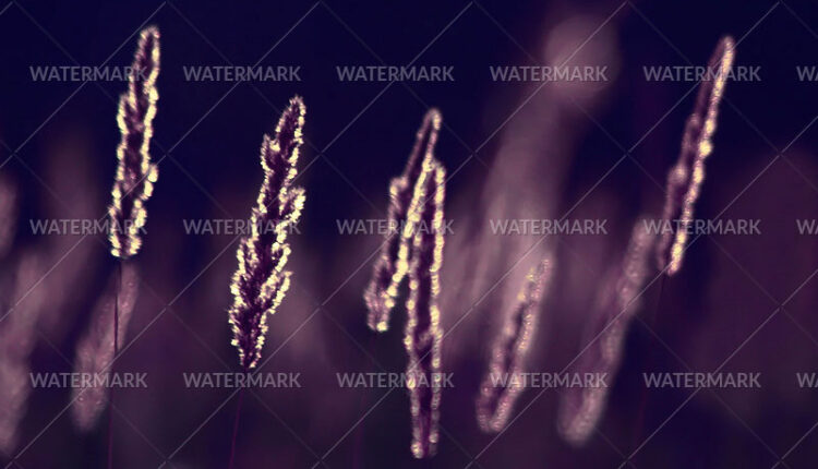 6012430576_66d4a504d9_o