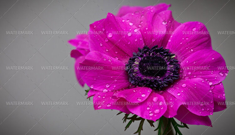 6851573024_1343fe900a_h