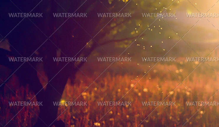 6966965057_7c2b054452_o