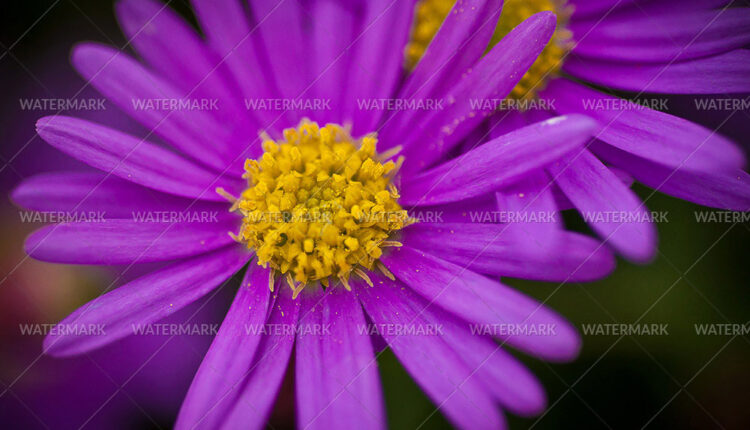 7335960572_3e6a05bc19_k