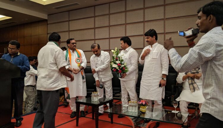 Nagpur Loadha Melava (11)